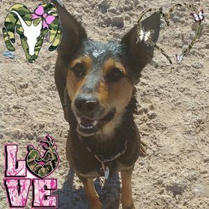 Meet your Posher, Scott-shelly